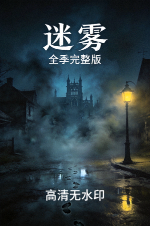 悬疑剧集《迷雾》海报 - 全季完整版，高清无水印